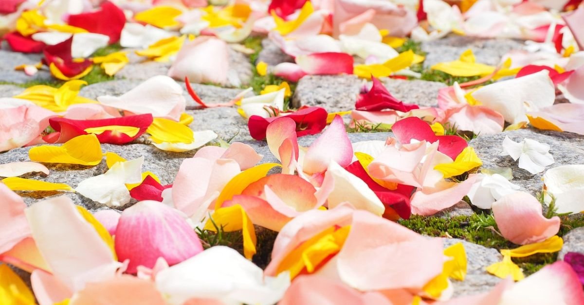 3 Wedding Color Palettes