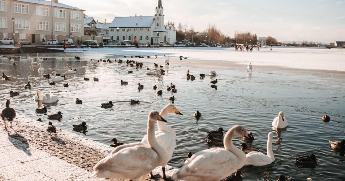 Reykjavík Iceland Reykjavík Iceland